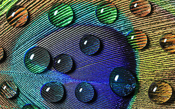 Background, Drops HD wallpaper