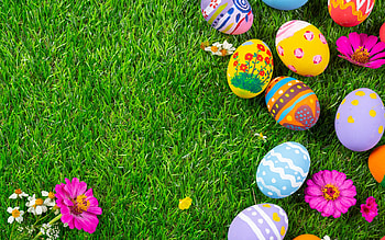 Happy Easter!, egg, grass, easter, green, card HD wallpaper