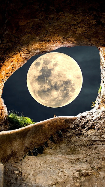 Moon, Creative, hoot HD phone wallpaper