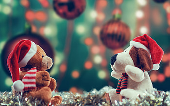 :), dog, toy, bear, teddy, craciun, christmas, card HD wallpaper