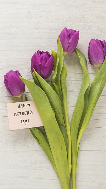 Mothers Day, Beautiful Flowers HD phone wallpaper
