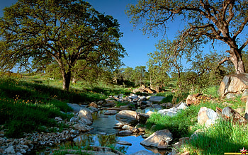 Landscape, Rivers, Trees HD wallpaper