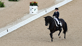 Dressage sports, Dressage legend Isabell Werth, Olympic news, Equestrian accomplishments HD wallpaper