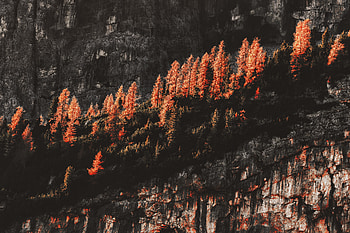 Rocks Mountains Surrounded By Trees , rocks, mountains, nature, trees HD wallpaper