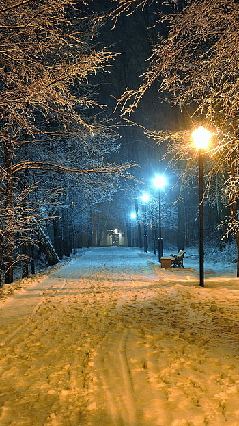 Winter Street at Night, evening, night, tree, bench, snow, winter, earth, graphy, park, winter night, night snow HD phone wallpaper