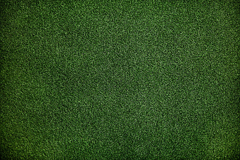 Grass Background, grass, abstract, artist, artwork, digital-art HD wallpaper