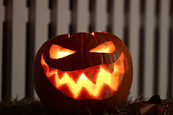 Creepy carved pumpkin glowing in the dark, perfect for Halloween decor. HD wallpaper