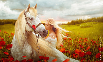 horse, lady, abstract, art HD wallpaper
