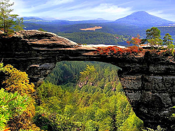 Rock in Forest, cool HD wallpaper