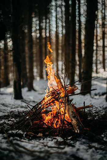 Fire, Bonfire, Flame, Miscellanea, Miscellaneous, Branches HD phone wallpaper