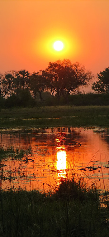 Best Botswana , , Vibrant colors, Stunning landscapes HD phone wallpaper