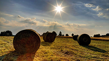Sunny day, Sun HD wallpaper