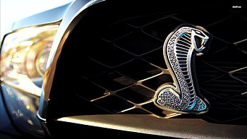 Shelby Mustang logo - Car - HD wallpaper