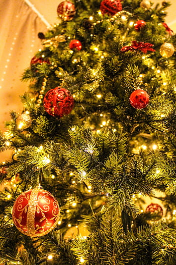 Close-up of a decorated Christmas tree featuring golden lights and red ornaments. HD phone wallpaper
