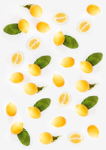 Citrus, oranges, fruits HD phone wallpaper