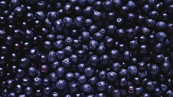 Food, Blueberry backgrounds HD wallpaper