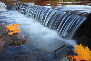 Waterfalls, river, flowing, maple, stream HD wallpaper