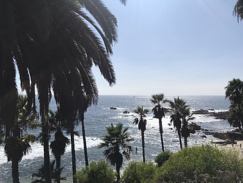 Laguna Beach 2022, Top attractions, Recommended experiences, Dining and hotels HD wallpaper