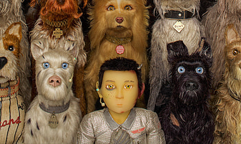 Atari Kobayashi, Isle of Dogs HD wallpaper