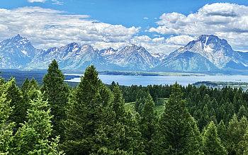View of the Teton Range from Signal Mountain, forest, lake, trees, clouds, sky, usa, wyoming HD wallpaper