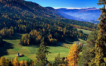 Landscape, Nature, Trees HD wallpaper