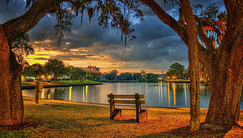 Evening park, Bench, Pond, Lights, Trees HD wallpaper