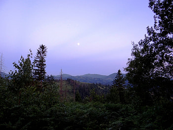 Landscape, Trees, Mountains HD wallpaper