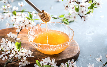honey, spring, spring flowers, cherry blossom, honey on a wooden stick, honey concepts, sweets, honey stick HD wallpaper