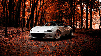 MX-5 ND Autumn, Mazda MX HD wallpaper