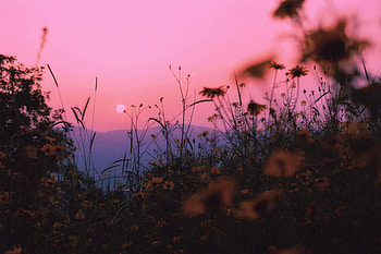Landscape, Nature, Sunset, Grass, Mountains, Sun, Horizon HD wallpaper