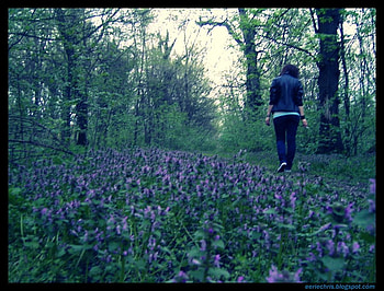 lost in the forest, woods, lost, alone, smoke, girl, sadness, empty HD wallpaper