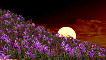 Animated 5 | Animated | Pinterest | , and Computer HD wallpaper