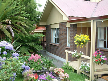 Cute front yard ideas, gardens, plants, yards, homes, trees, home garden, nature, flowers HD wallpaper