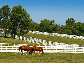 Lexington travels, Perfect itinerary, Cond Nast Traveler, Must-see spots HD wallpaper