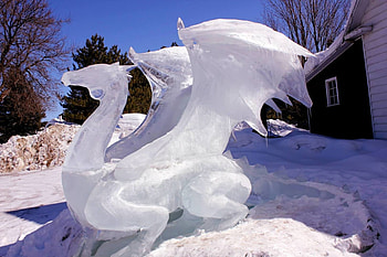 Dragon, White, Winter, graphy, Nature HD wallpaper