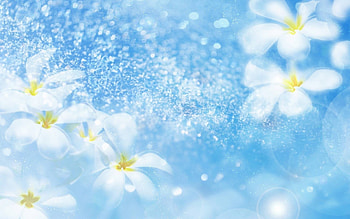 Plants, Flowers HD wallpaper