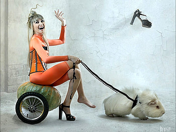 What a Ride, cool, lady, funny HD wallpaper