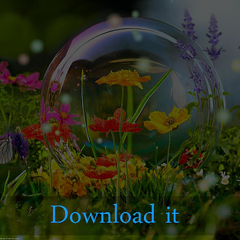 Aquarium Live For Windows Xp : Live HD phone wallpaper