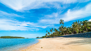 Palm Coconut Trees Island Ocean Water Beach Sand Under White Clouds Blue Sky Nature HD wallpaper