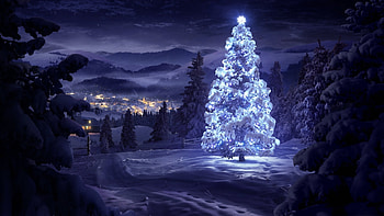 Christmas Tree in the forest, Forest, Trees, Nature, Light, Winter, Snow, Christmas tree, Blue, Sky HD wallpaper
