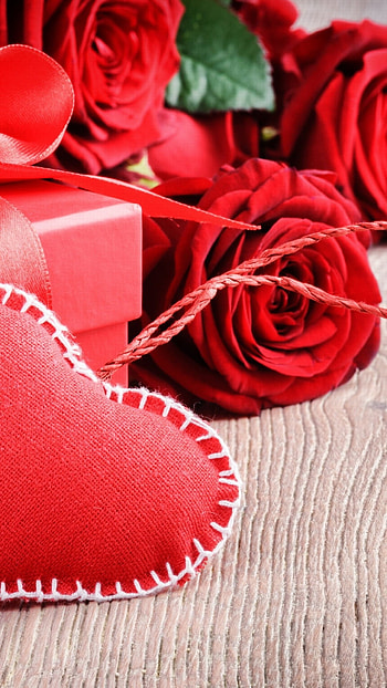 Valentines Aesthetic, Rose HD phone wallpaper