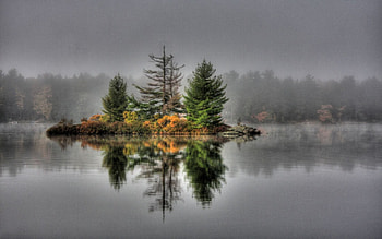 In The Mist, mist, fog HD wallpaper