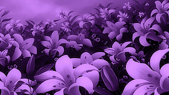 Purple Flowers, other, fun, entertainment HD wallpaper