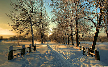 Country Winter in Pennsylvania, sunset, fences, landscape, trees, road, sky, usa HD wallpaper