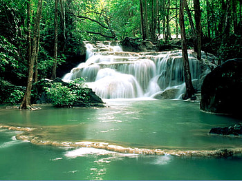 River, other, nature, forest HD wallpaper