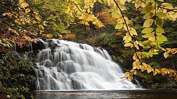 Gillis Lake Falls, Nova Scotia, river, leaves, colors, autumn, cascades, trees, canada, rocks, fall HD wallpaper