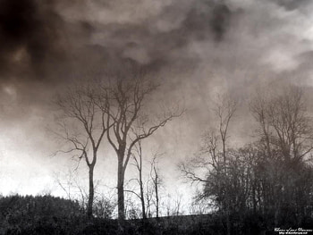Chains of Past Decisions, trees, planet, death HD wallpaper