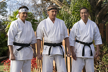 Cobra Kai Masters, TV Show, Cobra Kai HD wallpaper
