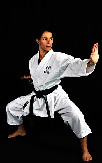 Karate, Sport Website, Portal, Resources HD phone wallpaper