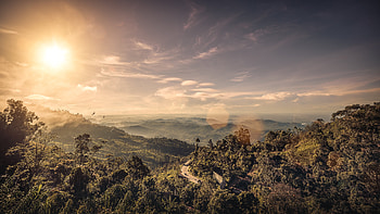 Forest, Horizon, , Landscape, Sun HD wallpaper